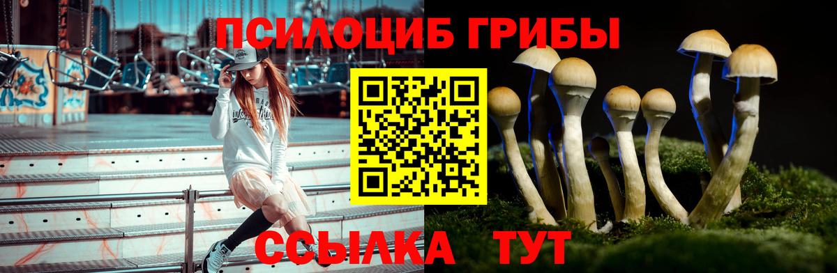 Псилоцибиновые грибы MAGIC MUSHROOMS  Вход с VPN  Псилоцибиновые грибы MAGIC MUSHROOMS  Губкин 