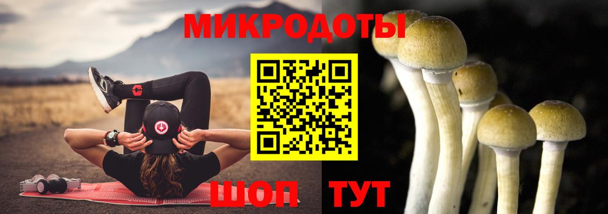 Псилоцибиновые грибы Magic Shrooms Губкин