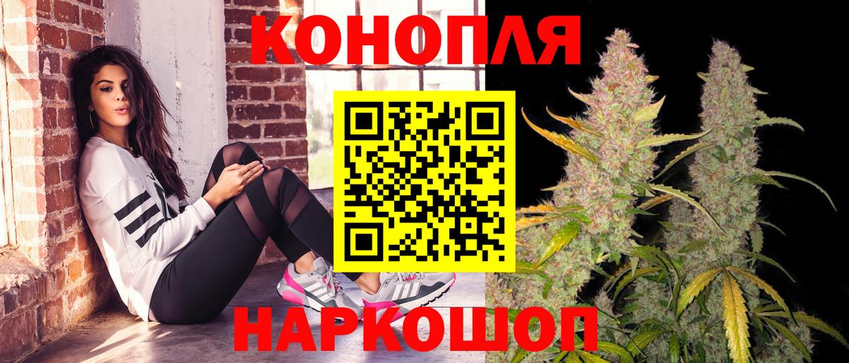 Конопля планчик Губкин